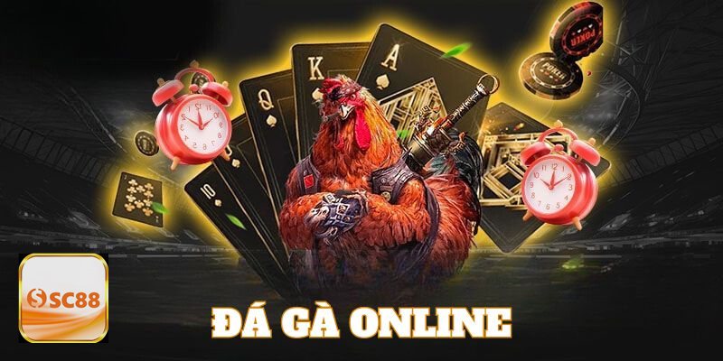 Đá Gà Cựa Sắt sc888 - Quản lý vốn cược Đá Gà Cựa Sắt sc888 - Quản lý vốn cược