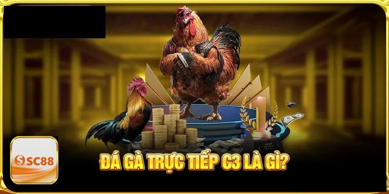 Đá Gà Cựa Sắt sc888 - Cách xác định kết quả Đá Gà Cựa Sắt sc888 - Cách xác định kết quả